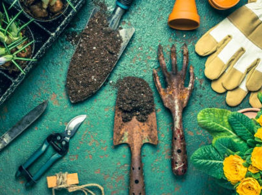 Vaše zeleň, naše péče – profesionální údržba zahrad v Poděbradech